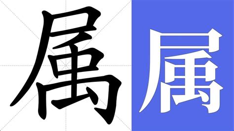 属 meaning